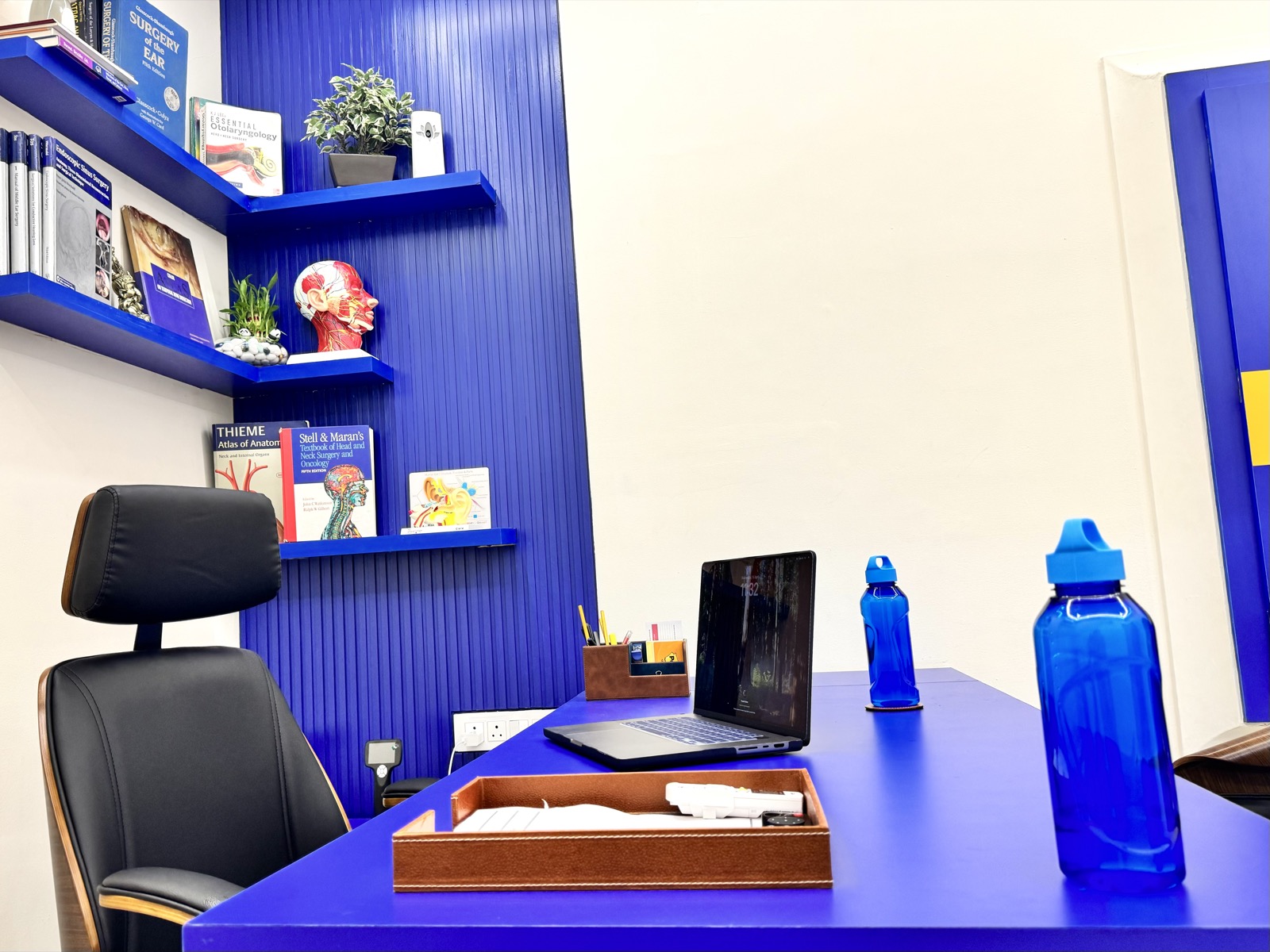 Doctor's Desk with Anatomy Library